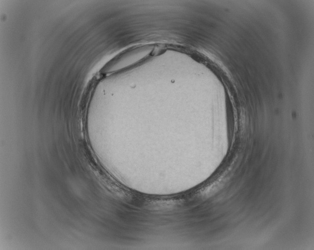 X0000067520925200605051851