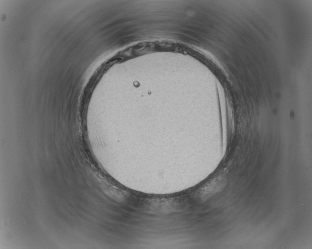 X0000067520927200605051851