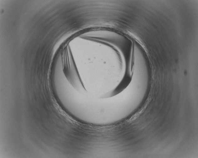 X0000067520928200605051851