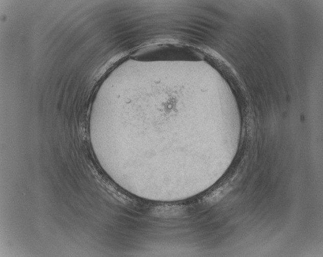 X0000067520929200605051851