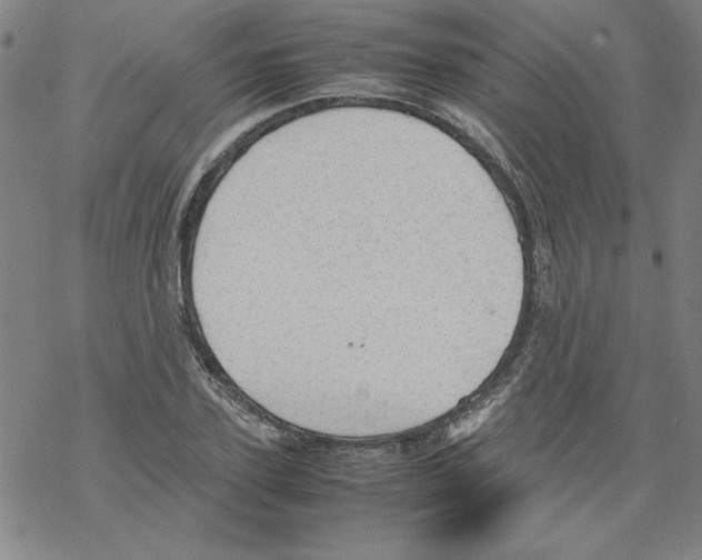 X0000067520931200605051851