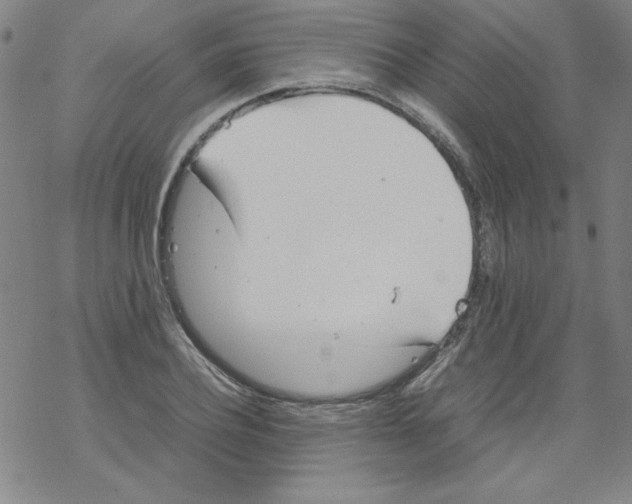 X0000067520932200605051851