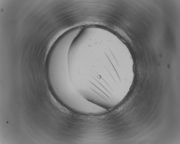 X0000067520934200605051851