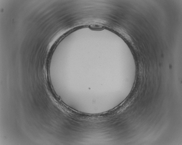 X0000067520936200605051851