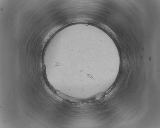 X0000067520938200605051851