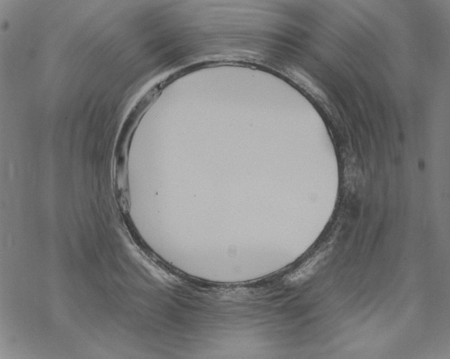 X0000067520940200605051851