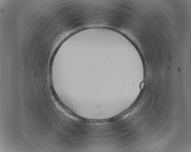 X0000067520941200605051851