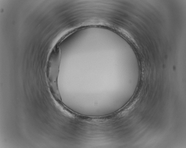 X0000067520942200605051851