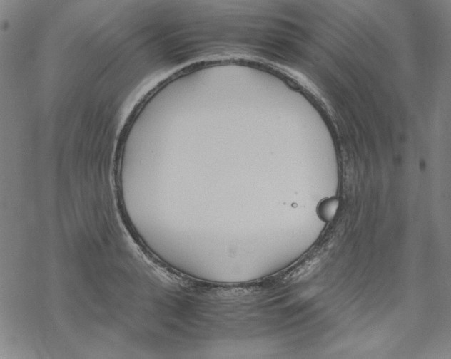 X0000067520943200605051851