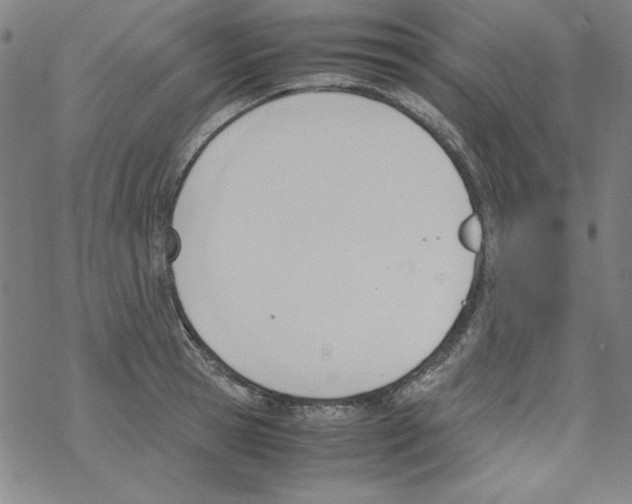 X0000067520945200605051851