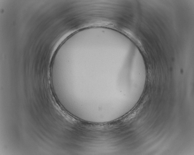 X0000067520948200605051851