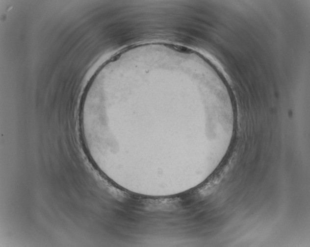 X0000067520949200605051851