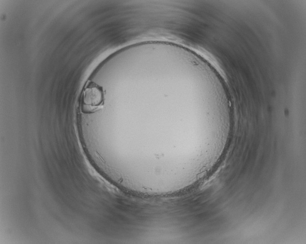 X0000067520950200605051851