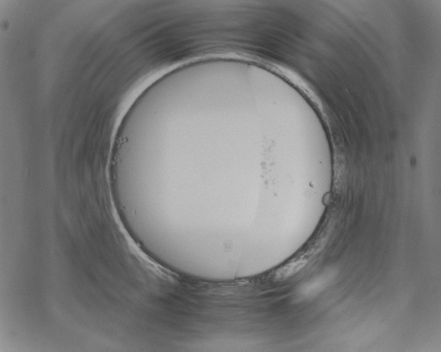 X0000067520951200605051851