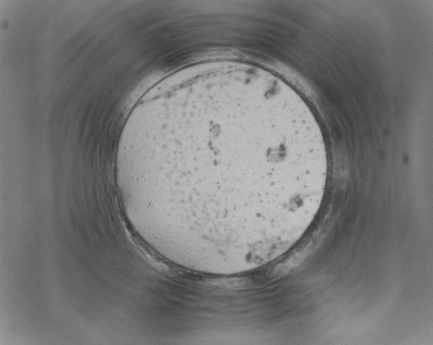 X0000067520953200605051851