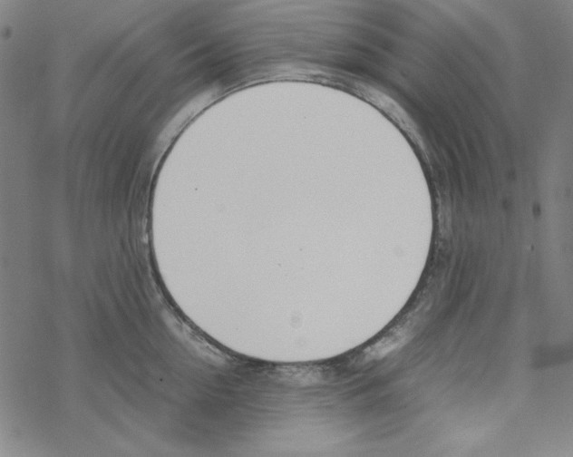 X0000067520954200605051851