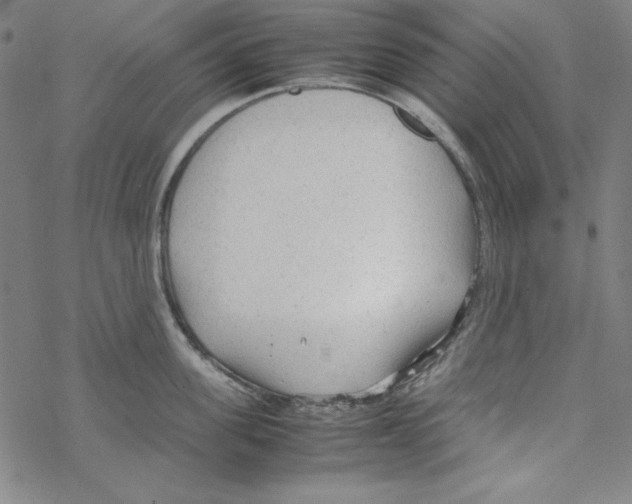 X0000067520955200605051851