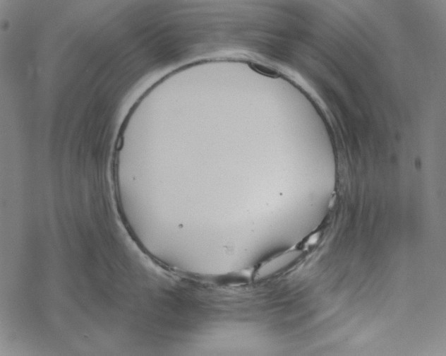 X0000067520959200605051851