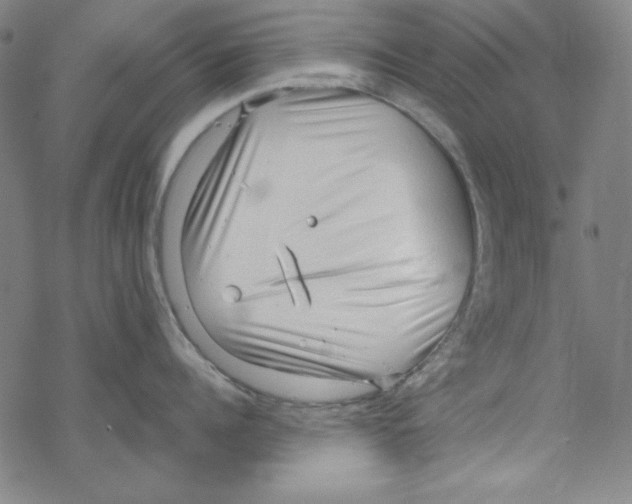 X0000067520960200605051851