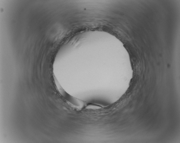 X0000067520961200605051850