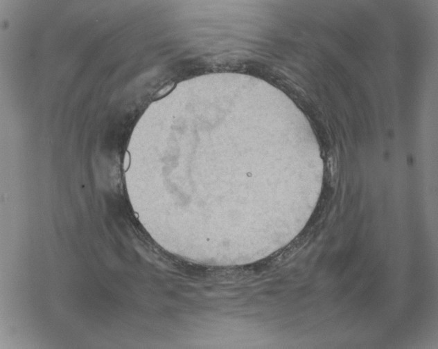 X0000067520963200605051850