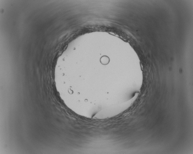 X0000067520965200605051850