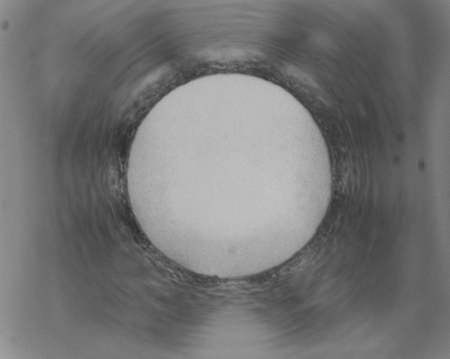 X0000067520966200605051850