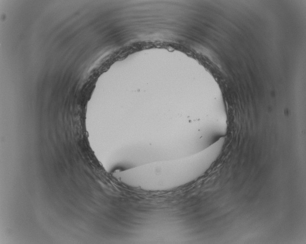 X0000067520968200605051850