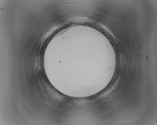 X0000067520970200605051850