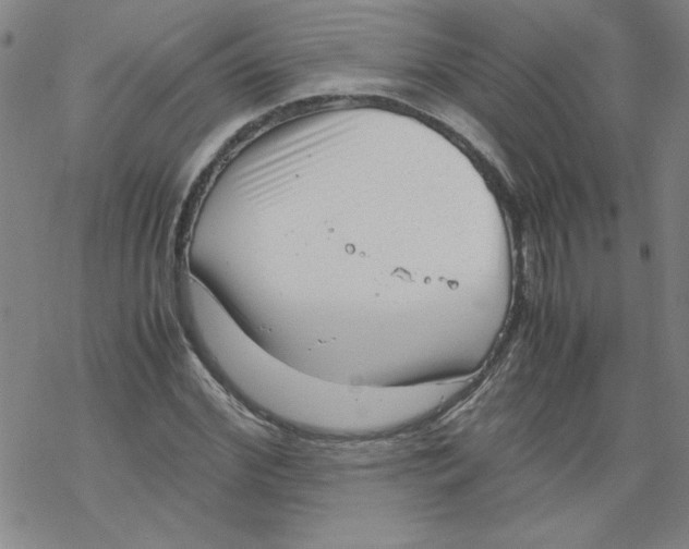 X0000067520972200605051850