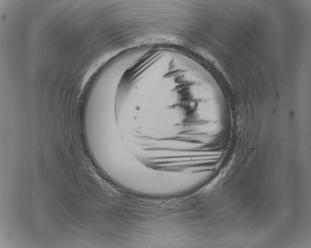 X0000067520973200605051850