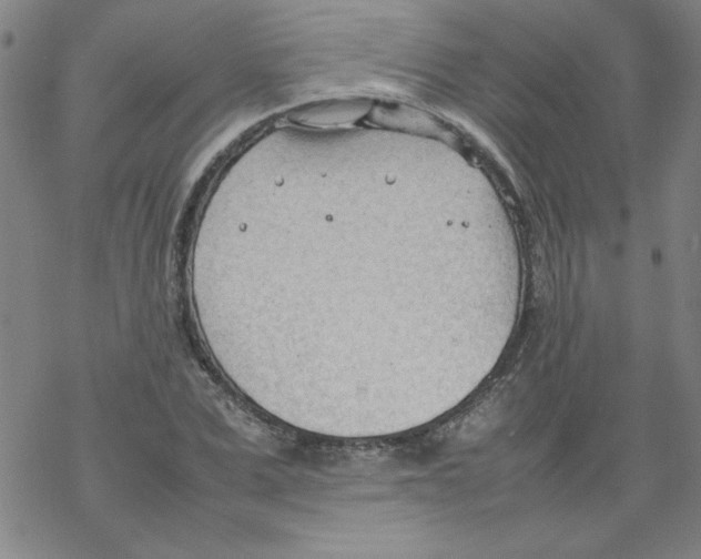 X0000067520975200605051850