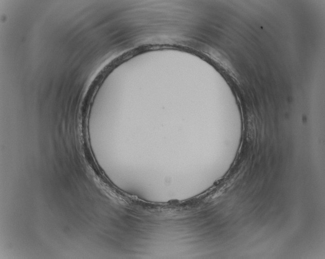 X0000067520976200605051850