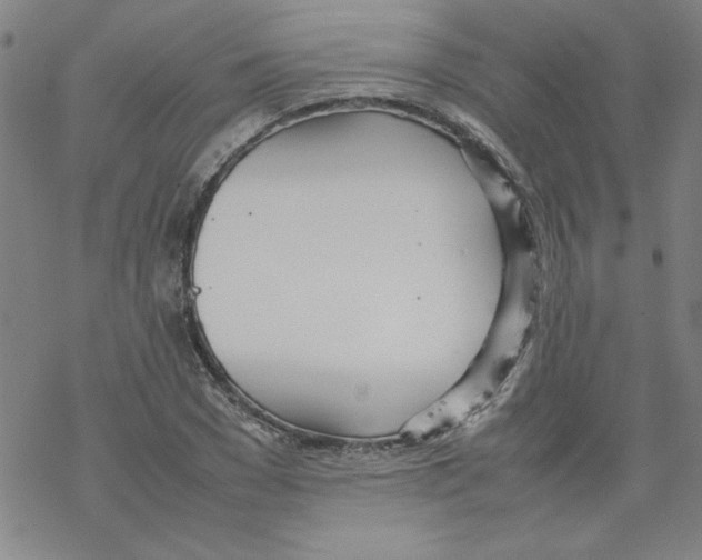 X0000067520977200605051850