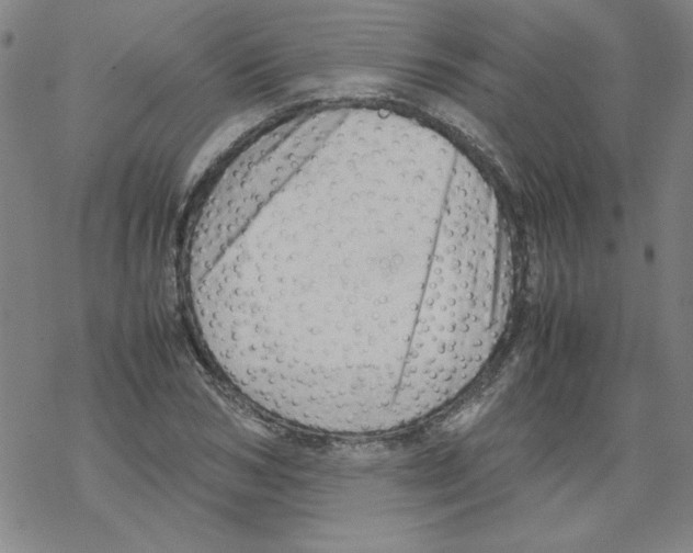 X0000067520978200605051850