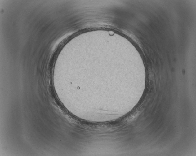 X0000067520979200605051850