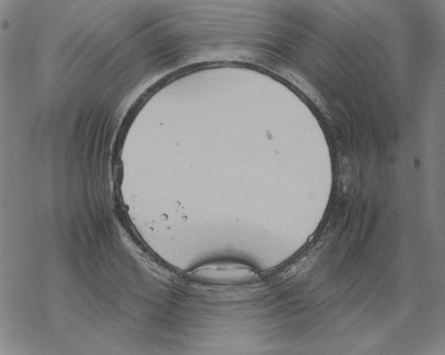 X0000067520980200605051850