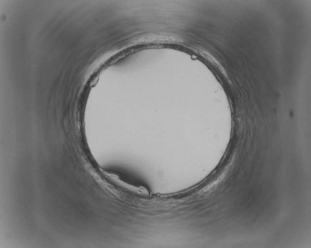 X0000067520981200605051850