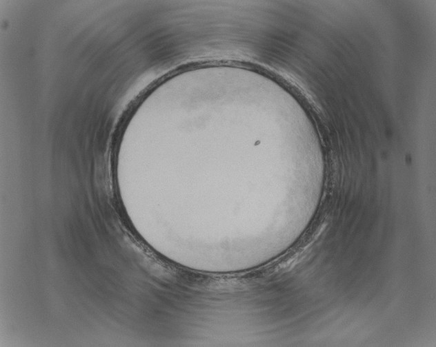 X0000067520982200605051850