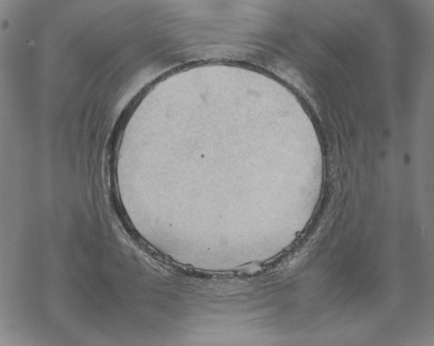 X0000067520983200605051850