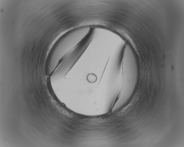 X0000067520984200605051850