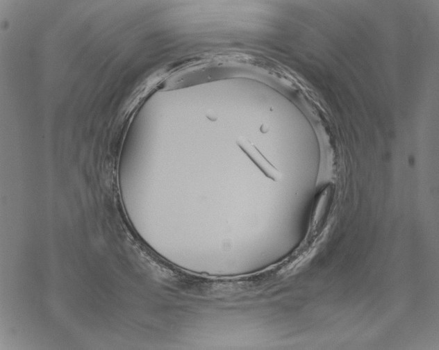 X0000067520985200605051850