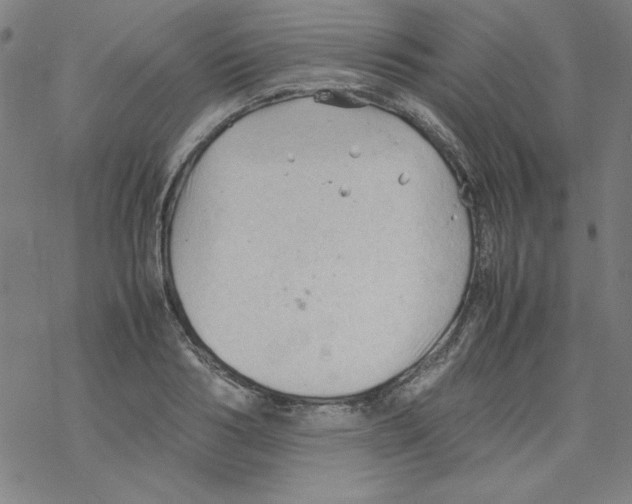 X0000067520986200605051850