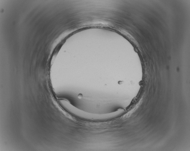 X0000067520989200605051850