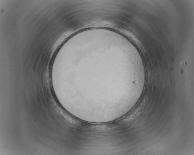 X0000067520990200605051850