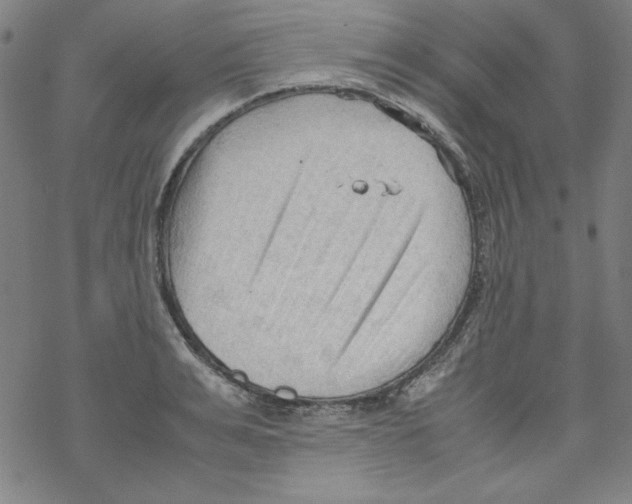 X0000067520991200605051850