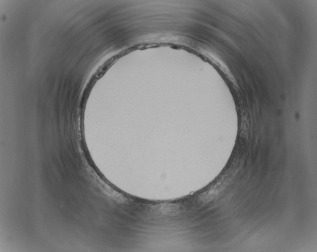 X0000067520992200605051850