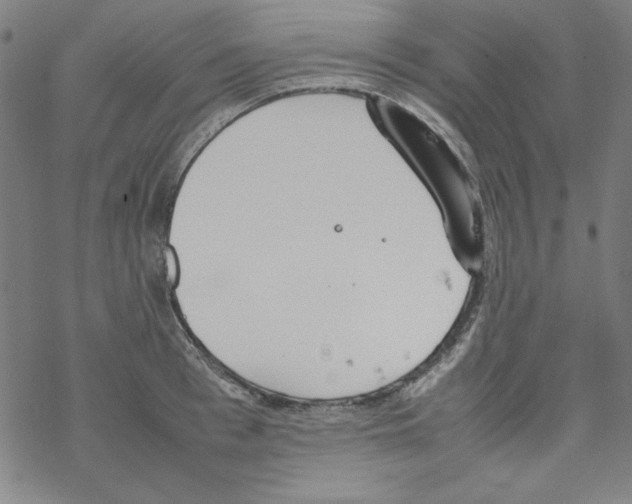 X0000067520993200605051850