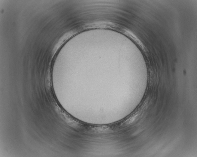 X0000067520994200605051850