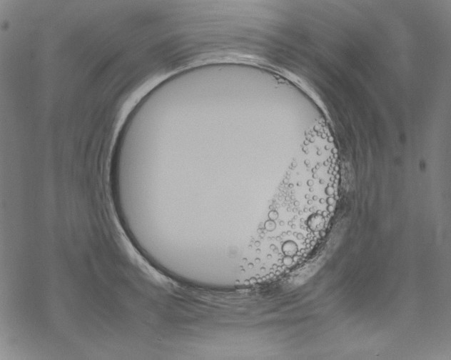 X0000067520995200605051850